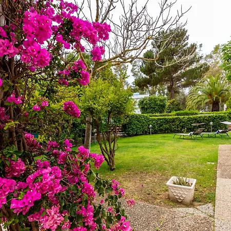 فيلة Buganvillea Near The