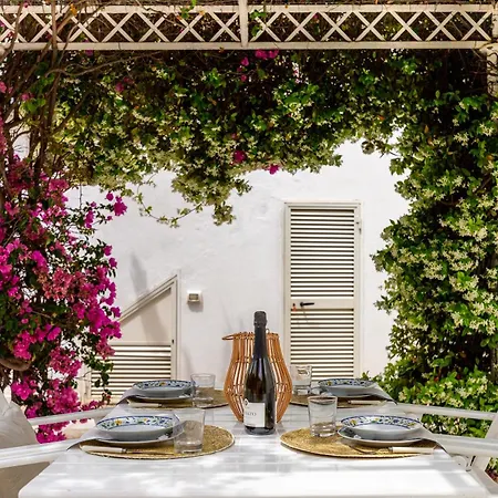 Buganvillea Near The * Maracalagonis