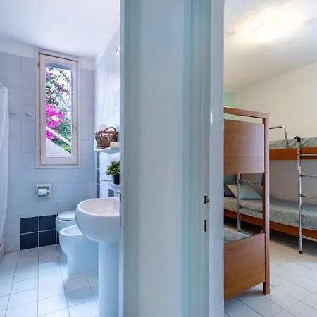 Buganvillea Near The * Maracalagonis