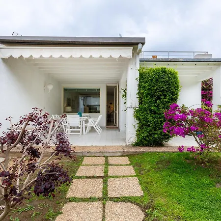 Buganvillea Near The Vila