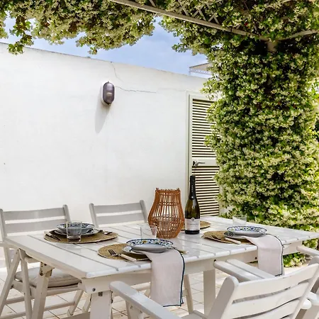 Buganvillea Near The Maracalagonis