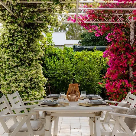 Buganvillea Near The * Maracalagonis